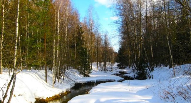  ������ ���������� ������ ��������� ��� 