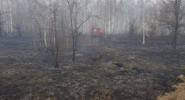 Украину снова охватили массовые пожары: погибли миллионы насекомых и десятки зверей, густой смог накрыл окрестные села