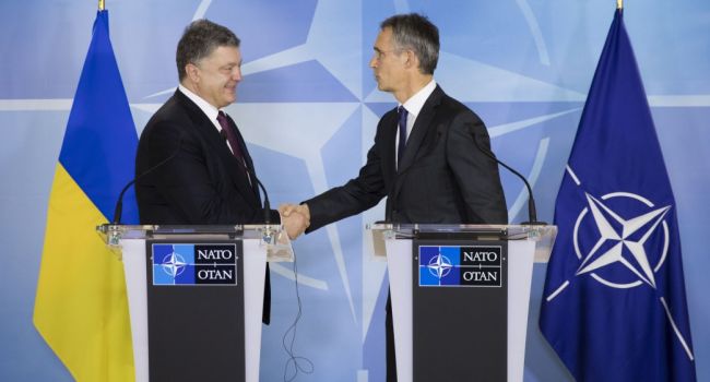 Программа Украина-НАТО является предвыборным пиаром Порошенко – Молчанов Программа Украина-НАТО является предвыборным пиаром Порошенко – Молчанов