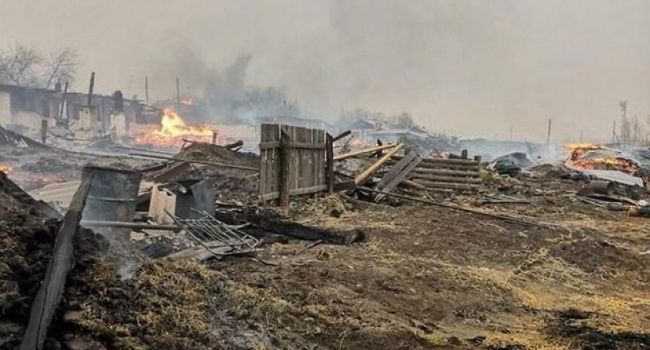 Пылают леса Забайкалья: в России тушат крупнейшие лесные пожары