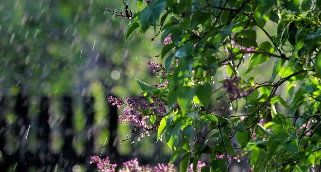 Дожди и местами грозы: стало известно о погоде на Пасху 