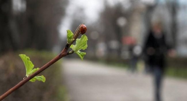  ������������� ������ ����� �������� ��� ������� 