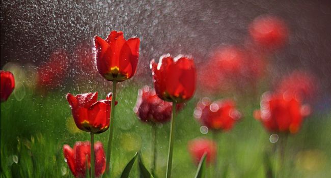  �������� ����������� ����� �������� ���������� ������ �������� ������ 