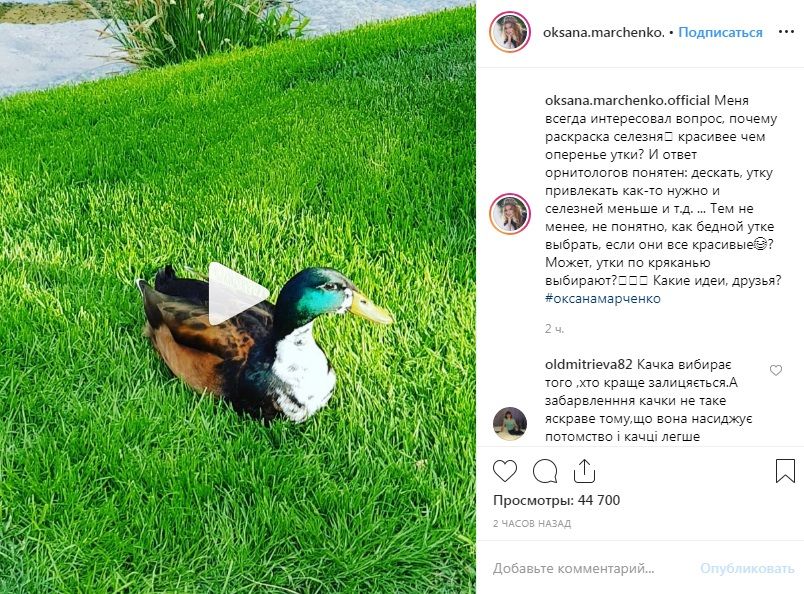 Оксана Марченко озадачила сеть своим постом об утках 
