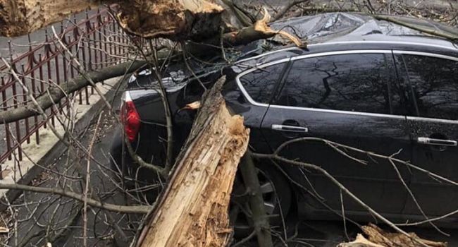 По Киеву прогулялся ураган: битые машины, повалены деревья