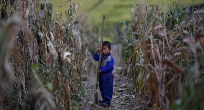 ООН: 40% населения КНДР грозит голод 