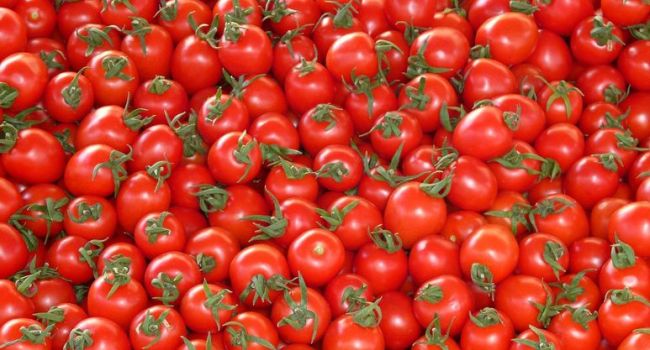 Чем полезны помидоры для женщин