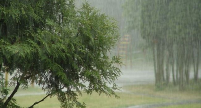 Дожди и до +32 градусов: синоптики рассказали о погоде в ближайшие дни 