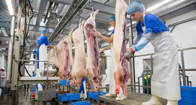 Госстат: производство свинины в Украине продолжает рекордно сокращаться