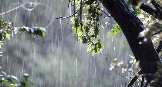 Дожди накроют почти все регионы: синоптики рассказали о погоде перед выходными