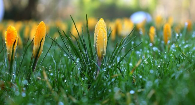  �������� ����������� ������������ ������ ������� ������� 