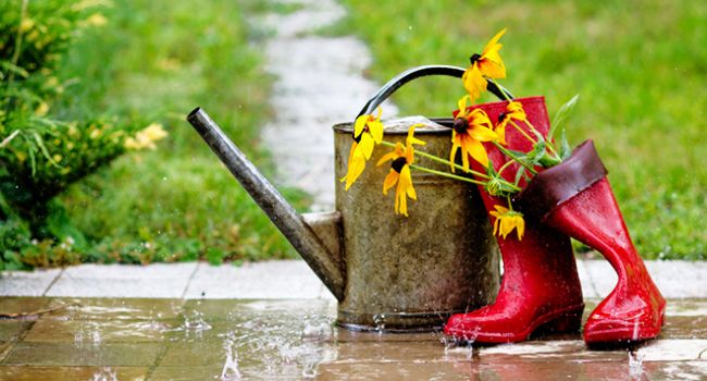  ��� ����������� �������� �������� ������� ������ ������� 