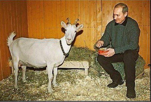 «Так ху*ло еще и зоофил?»: сеть под впечатлением от шедеврального фото с Путиным 