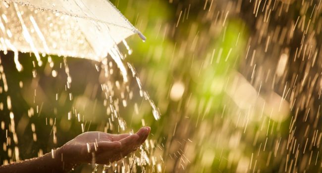 Дожди не уйдут: синоптики разочаровали прогнозом на неделю