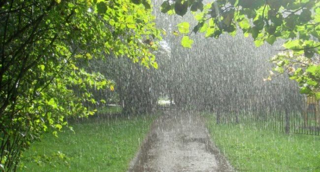 Порывы ветра и грозовые дожди: синоптики рассказали о погоде в ближайшие дни 