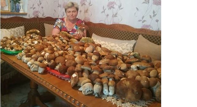 Абсолютный рекорд: на Закарпатье мужчина собрал 150 кг грибов