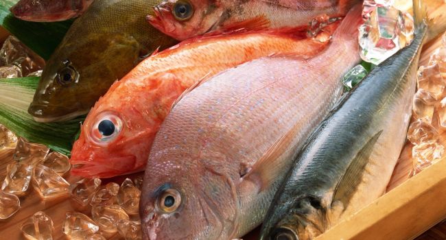 Больше вреда, чем пользы: эксперты назвали самую опасную рыбу для здоровья 