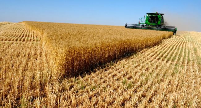 Эксперт рассказал, какую цену платит Украина за рост аграрного экспорта 