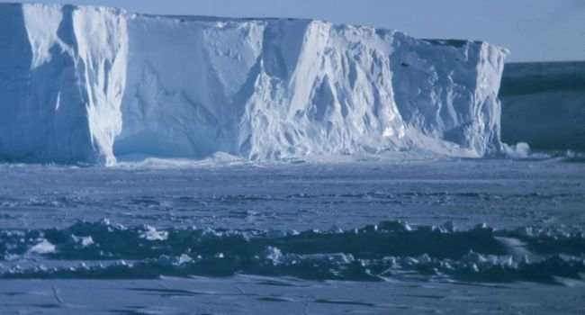 Спасение от вымирания: Ученые сделали заявление о находке в Антарктиде 