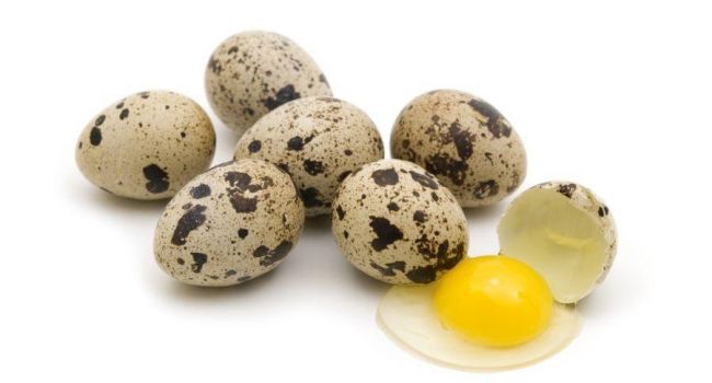 О лечебных свойствах перепелиных яиц
