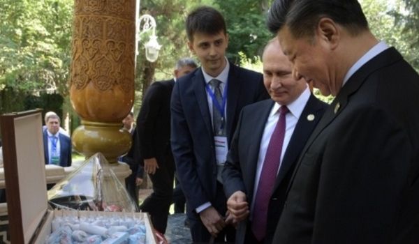 «Мог бы и животик лизнуть»: сеть в недоумении от странных объятий Путина с мужчинами 