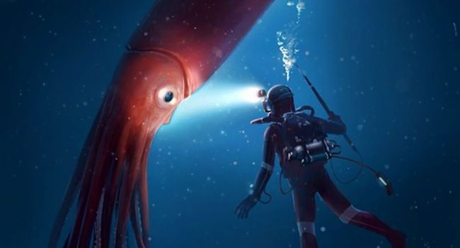 В глубине океана ученые обнаружили самого огромного кальмара в мире, - видео