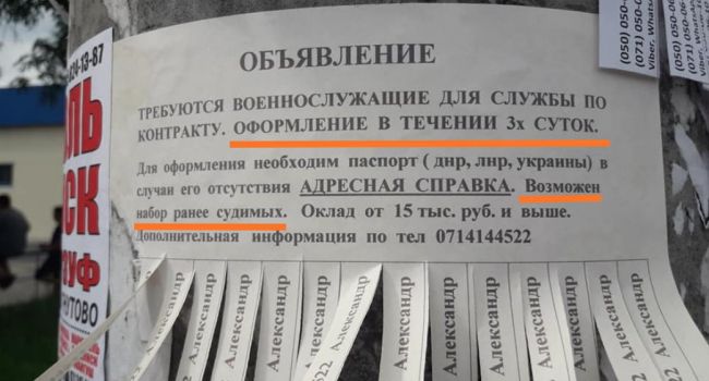 «ДНР» в панике, некому воевать: весь Донецк обклеен объявлениями о наборе в ряды боевиков
