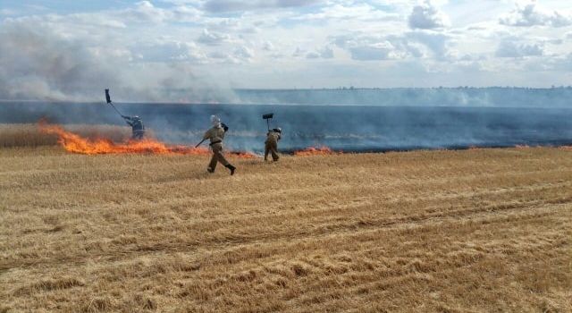 На Николаевщине сгорели поля с пшеницей