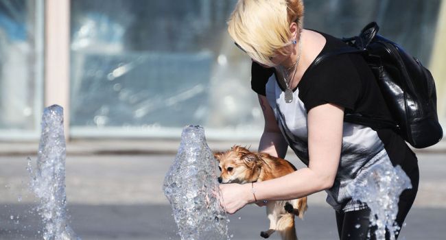  �������� �������� �������� ������� ������ ���� 