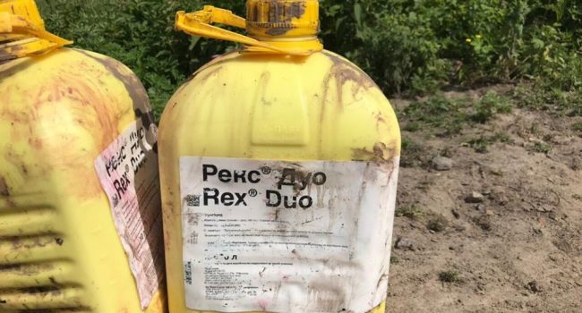  �������� �������� ���� ����������� 