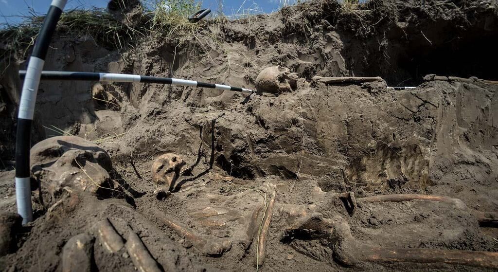 «Убивали саблями и топорами и бросали раздетыми в яму»: в Украине обнаружили массовое захоронение детей и женщин