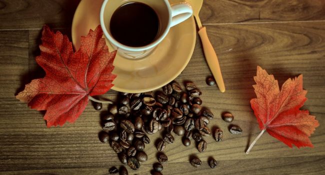 Учёные назвали безопасную норму кофе для человека
