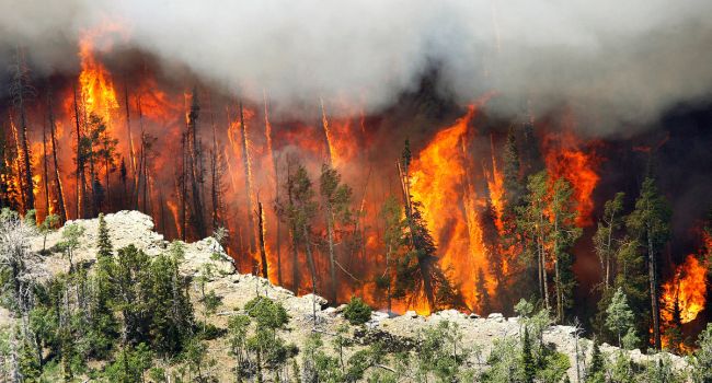 Аномальная жара в Европе спровоцировала масштабные пожары