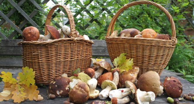  ����� ������� ������ ���������� ������ ������ 