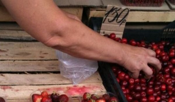  ������ ��������������� �������� ������ ������� ������� ���������� 