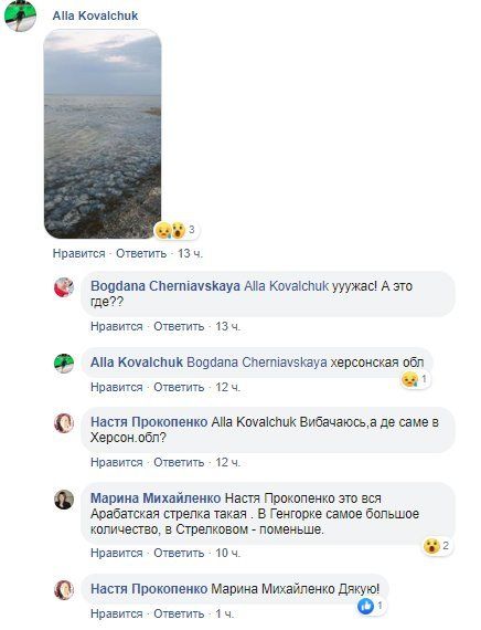 Во всем виноват Крымский мост: стало известно о страшном ЧП в Азовском море