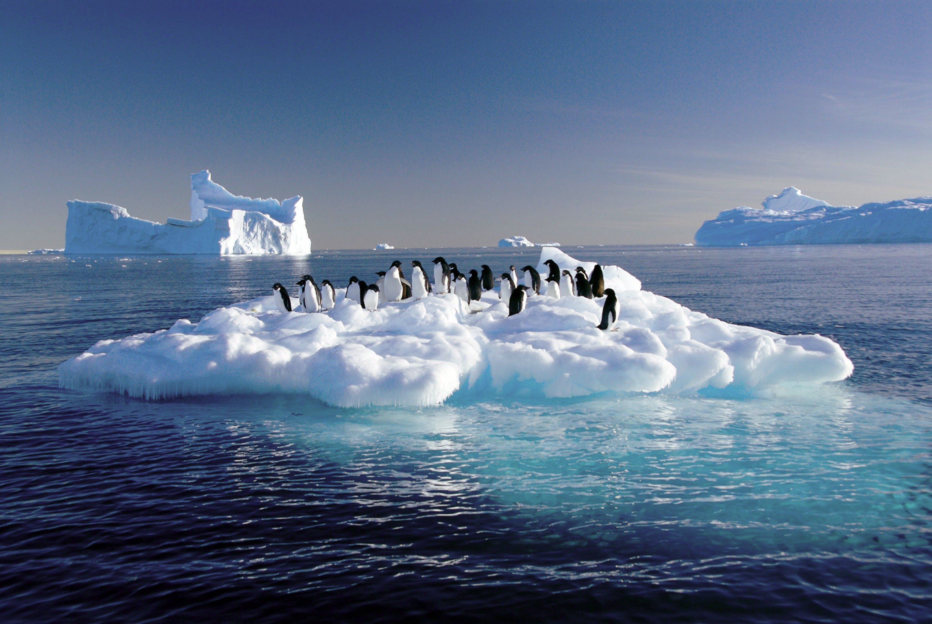 Таяние льдов мирового океана. Потепление климата таяние ледников. Таяние ледников в Арктике. Таяние ледников в Антарктиде. Парниковый эффект таяние ледников.
