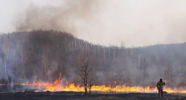 Грядет огненная катастрофа: в России забили тревогу из-за пожаров в Сибири