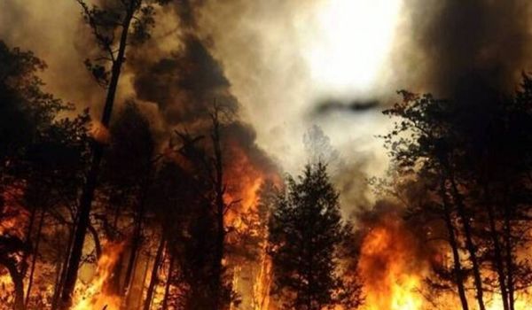 «Их уже не остановить»: эколог напугал прогнозом по пожарам в Сибири 