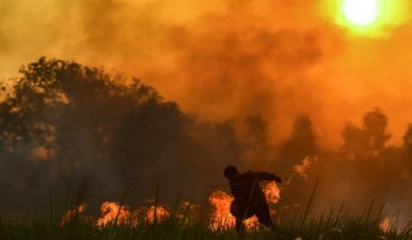 В России растет территория охвата масштабных лесных пожаров 