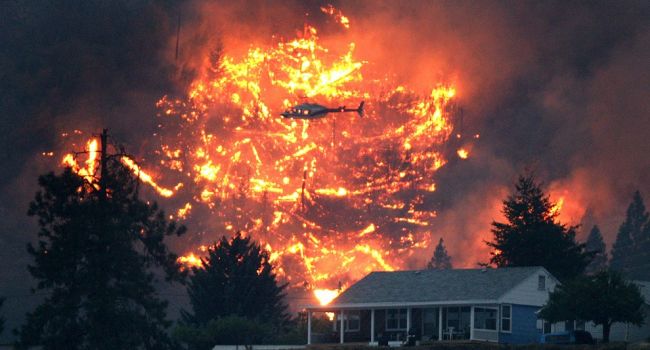 Площадь масштабного лесного пожара в Канаде за один день увеличилась в два раза