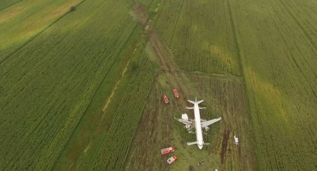 Пассажиры приземлившегося в поле под Москвой самолета передумали лететь в Крым