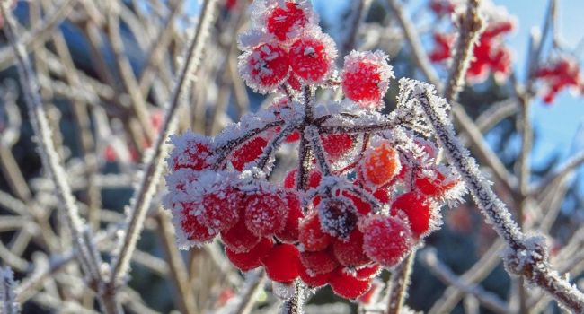 Резко похолодает: синоптики рассказали, что после жары в Украину придут сразу заморозки 