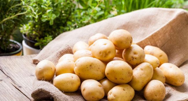 Проблема только усугубится: Эксперты рассказали о росте цен на картофель