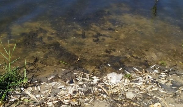  ������ ����� ������������ �������� ���� ������� ����������� ���������� 