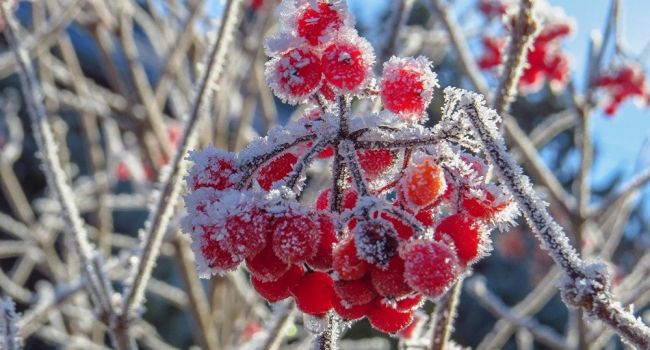 ����: replyua.net