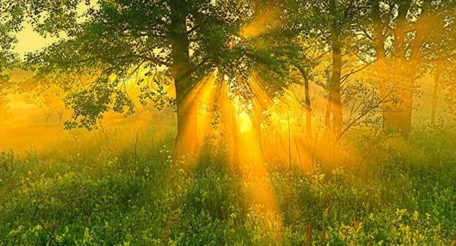  ������� �������������� ���������� ������ ������� 