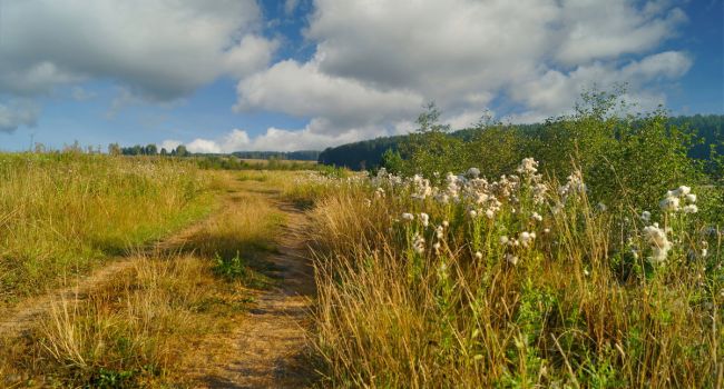 ����: replyua.net