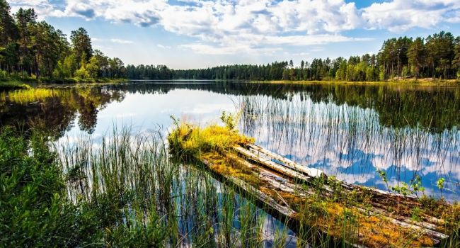  ������ ����� ������ ��������� ���������� ������ ������ ��� 