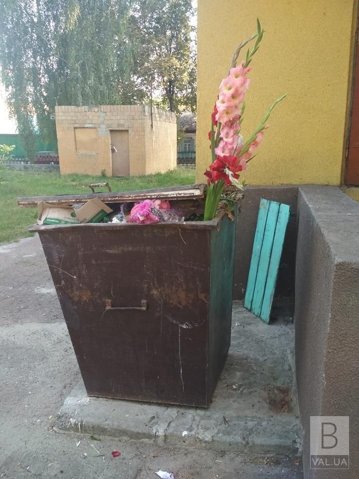 Черниговская школа попала в скандал из-за выброшенных цветов в мусорный бак Черниговская школа попала в скандал из-за выброшенных цветов в мусорный бак